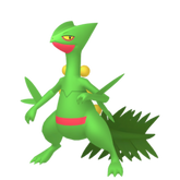 6IV Sceptile Indigo Disk Pokemon Scarlet and Violet